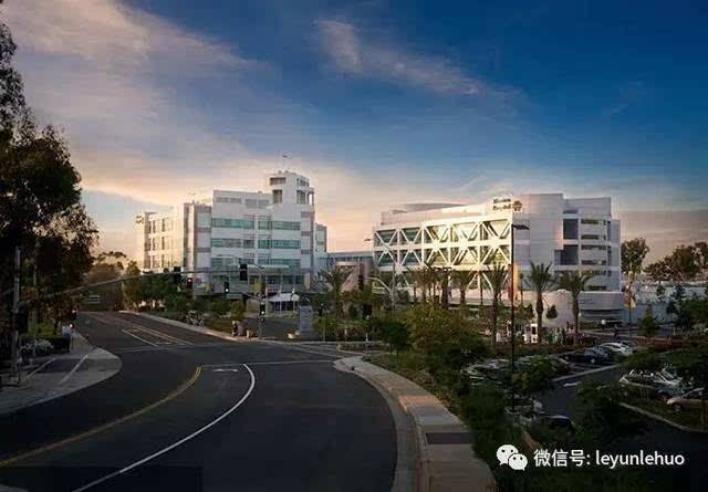 家禽车追尾千只小鸡散落高速 扬州消防驰援_星空体育APP网站(图2) 星空体育APP网站