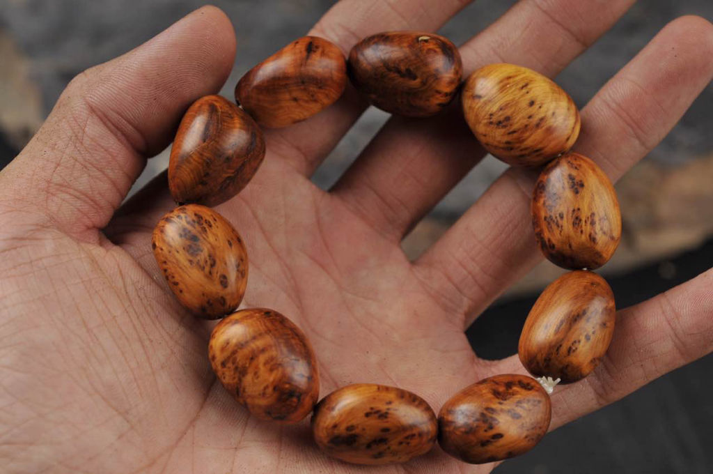 河北展示足球力量:华夏幸福被邀请参展国际足球博览会_星空体育APP网站(图1) 星空体育APP