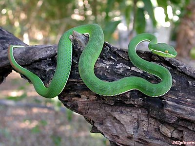 星空体育app下载