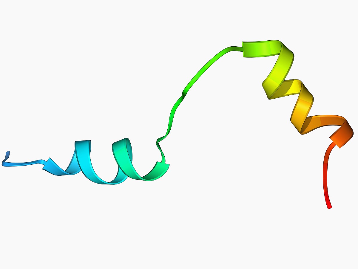 “星空体育APP”
大连一方新操作系统评估——五后卫战术(图1) 星空体育APP