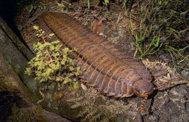 ‘星空体育APP网站’台州经开消防夜查12家重点单位 整改火患23处(图4) 星空体育app下载