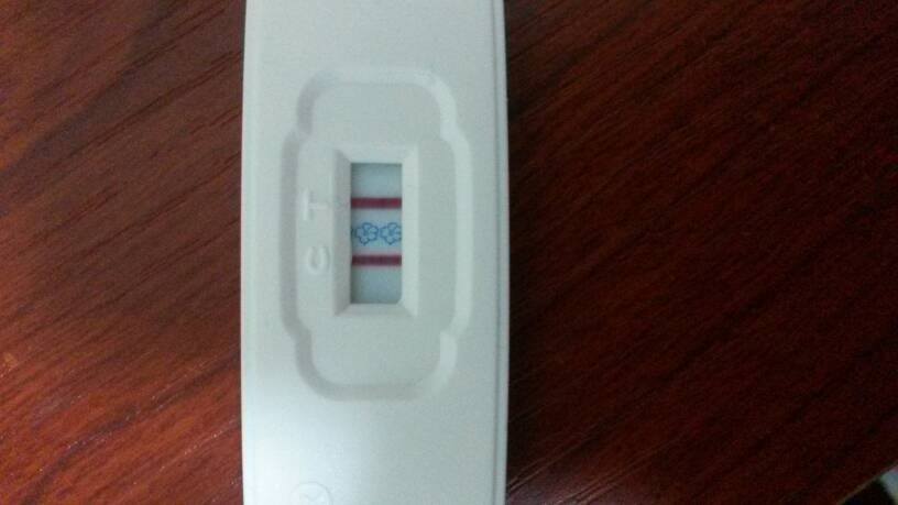 星空体育APP|范佩西和法尔考两者只能取其一吗(图2) 星空体育app下载