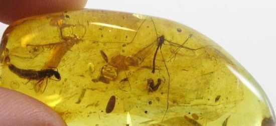 新城东方丽园一期项目前期物业管理服务(深圳物业)招标公告-星空体育APP(图1) 星空体育APP