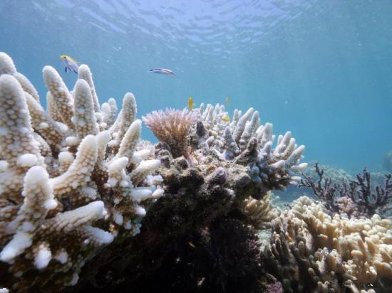 联盟情报局:LPL季后赛即将结束 多位选手展现了亮眼操作_星空体育app下载(图3) 星空体育APP