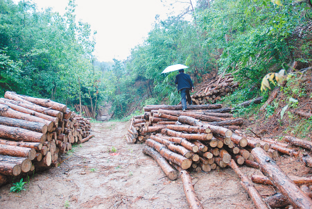 星空体育app下载