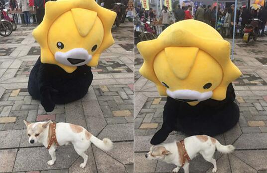 星空体育APP网站|甘肃消防地震救援演练:重兵集结麻家寺 实战锤炼风雨中(图1) 星空体育APP网站