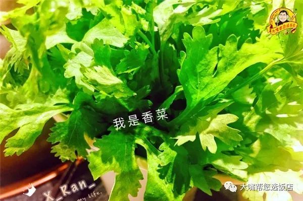 FPX重回冠军状态,Doinb刷“13虎”伤害,UZI:FPX还是猛的|星空体育APP网站(图1) 星空体育APP