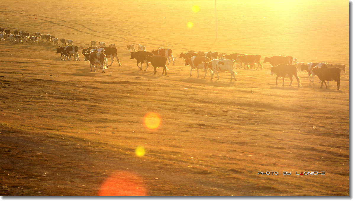 “星空体育APP网站”本周二对阵天津泰达的胜利对于扎哈维来说还有特别的意义(图2) 星空体育app下载