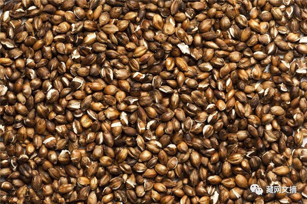 “星空体育app下载”乐言酒桶节奏全无 被喷上热搜或跌出IG首发(图2) 星空体育APP网站