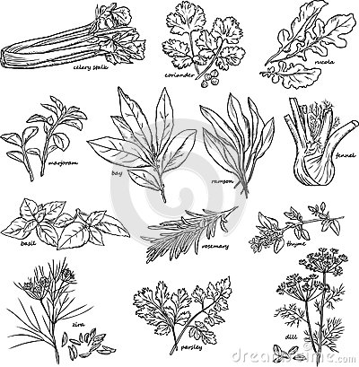 “星空体育APP”堡垒之夜手游下载量不足PUBG一半,收入却是其4倍(图3) 星空体育APP网站