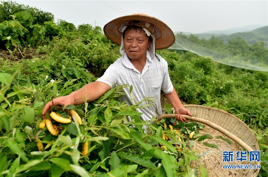 星空体育app下载:凉城消防深入社区为居民讲解防火安全知识(图3) 星空体育APP