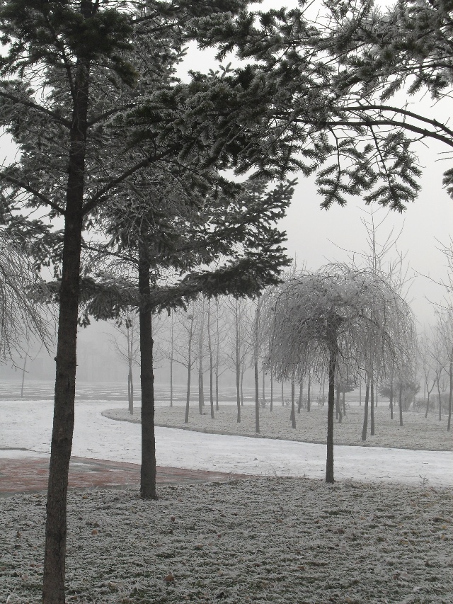 华为专注于人工智能领域顶尖人才,并准备为之付出努力_星空体育APP网站(图1) 星空体育APP网站