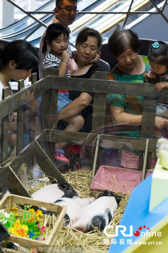 华为专注于人工智能领域顶尖人才,并准备为之付出努力_星空体育APP网站(图3) 星空体育APP