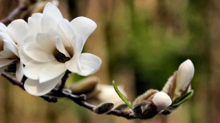 星空体育app下载