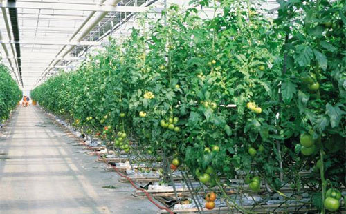 ‘星空体育APP网站’国足将再次与苦主在亚洲交锋!国足已经多年没有战胜过这个对手(图2) 星空体育APP网站