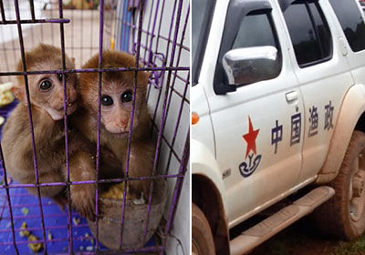 目前的情况,亚足联的官员昨天已经抵达上海【星空体育APP】(图2) 星空体育APP