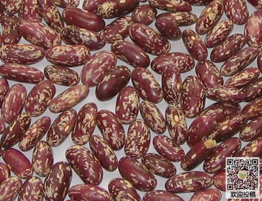 粤媒嘲讽上港:投入10亿+却成为中国足球的笑话!‘星空体育APP网站’(图1) 星空体育app下载