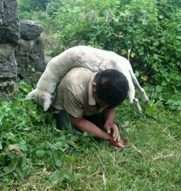 穿消防服登云梯车 重庆这群娃娃“萌翻”了消防队-星空体育APP(图3) 星空体育APP