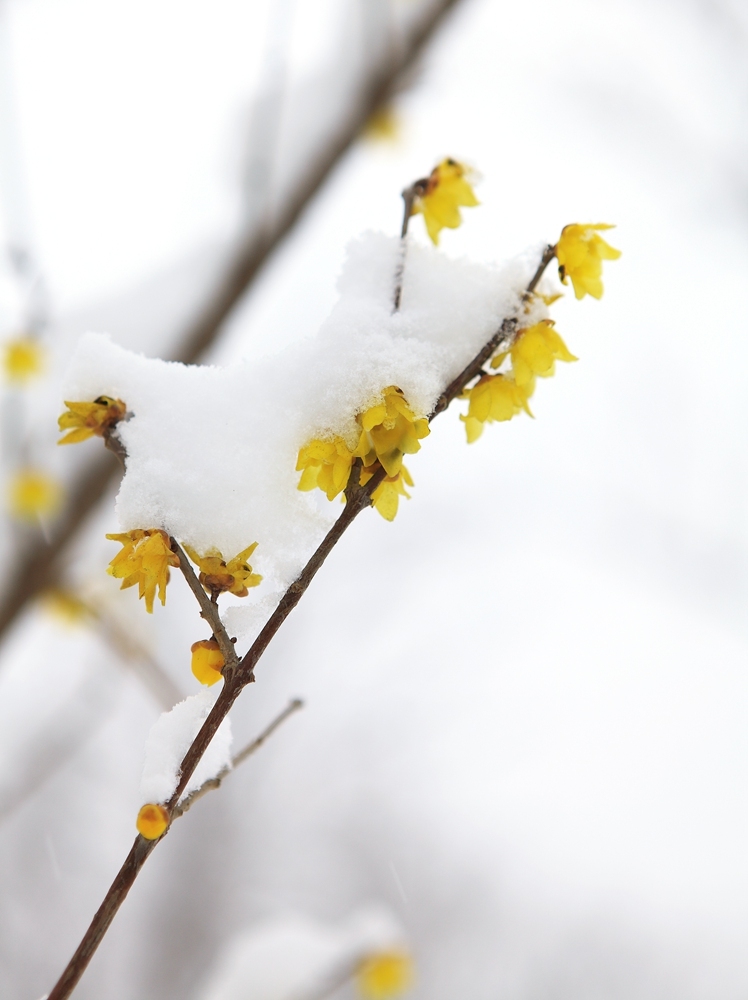 痛快酣畅游戏 竞技必备——北通阿修罗3手柄-星空体育APP(图6) 星空体育app下载