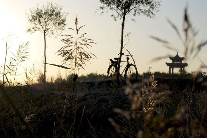 星空体育APP-学交通安全 度快乐寒假(图4) 星空体育app下载