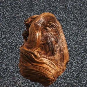 星空体育APP|锡林郭勒消防深入洋化加油站开展夜间实战演练(图2) 星空体育APP