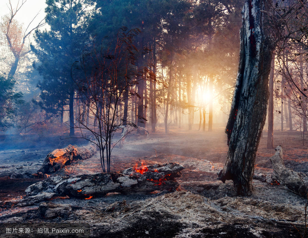 星空体育APP:王者荣耀:最难拿MVP的英雄,辅助霸榜,可能就是难有高光吧!(图3) 星空体育APP