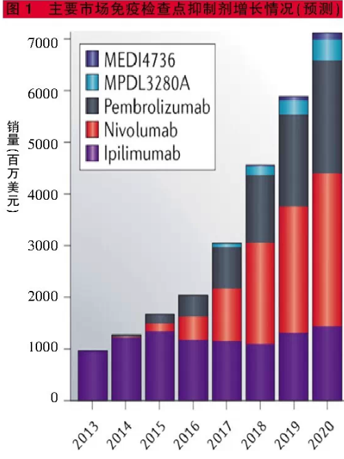 鲁班星空值1颗水晶,武则天典藏要2颗,他们:10颗也买不到_星空体育APP网站(图2) 星空体育APP网站